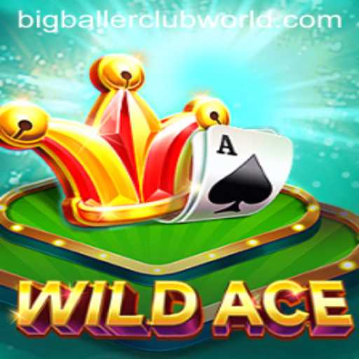 Discover the Thrills of WildAce: An Immersive Adventure into the BigBallerClub